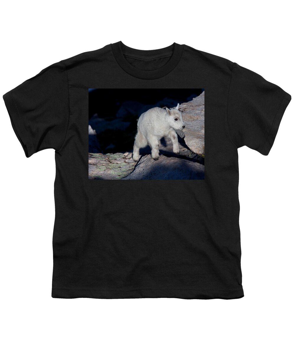 Mountain Goats; Posing; Group Photo; Baby Goat; Nature; Colorado; Crowd; Baby Goat; Mountain Goat Baby; Happy; Joy; Nature; Brothers Youth T-Shirt featuring the photograph Climb Every Mountain by Jim Garrison