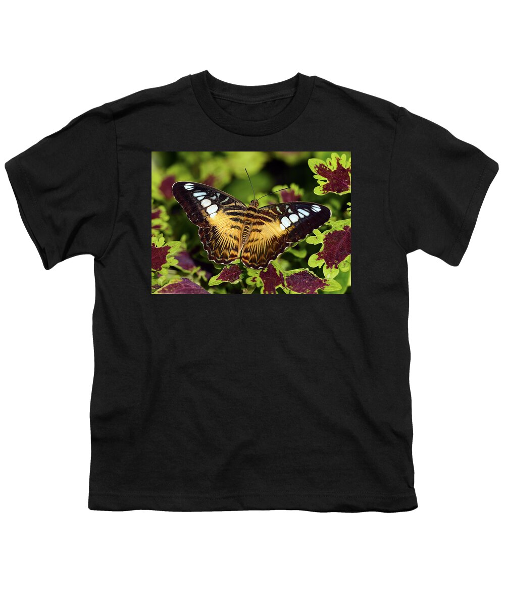 Dodsworth Youth T-Shirt featuring the photograph Clipper Butterfly by Bill Dodsworth