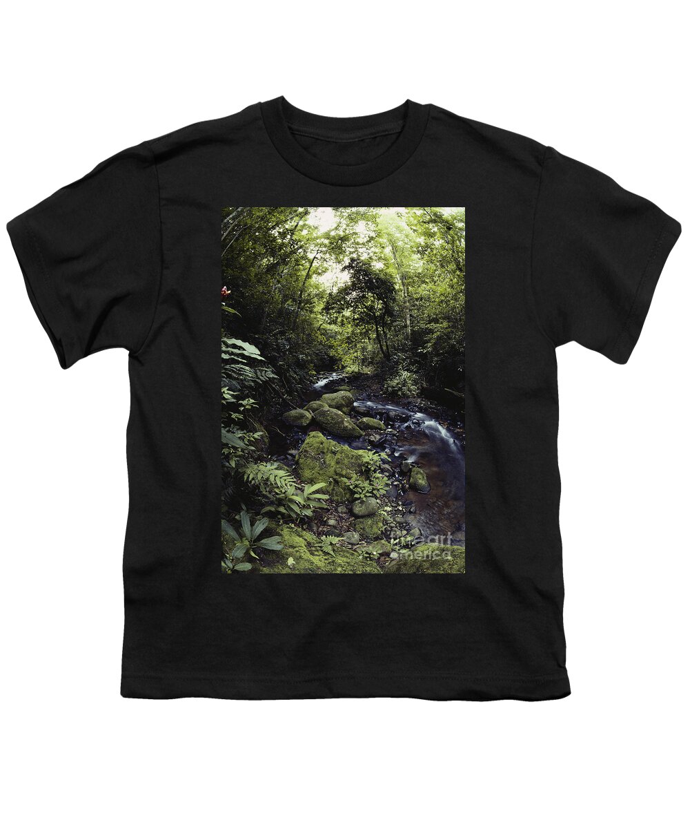 Cloud Forest Youth T-Shirt featuring the photograph Cloud Forest Stream by Gregory G. Dimijian, M.D.