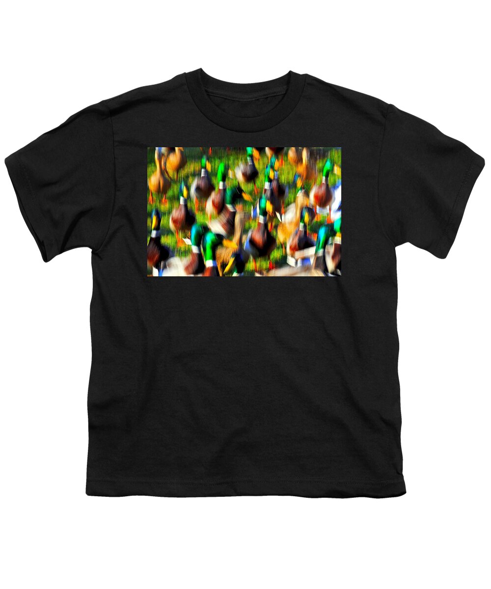 Duck Youth T-Shirt featuring the photograph Colorful Confusion by Frozen in Time Fine Art Photography