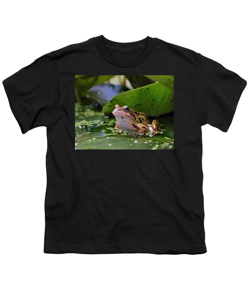 Frog Youth T-Shirt featuring the digital art Common frog by Ron Harpham