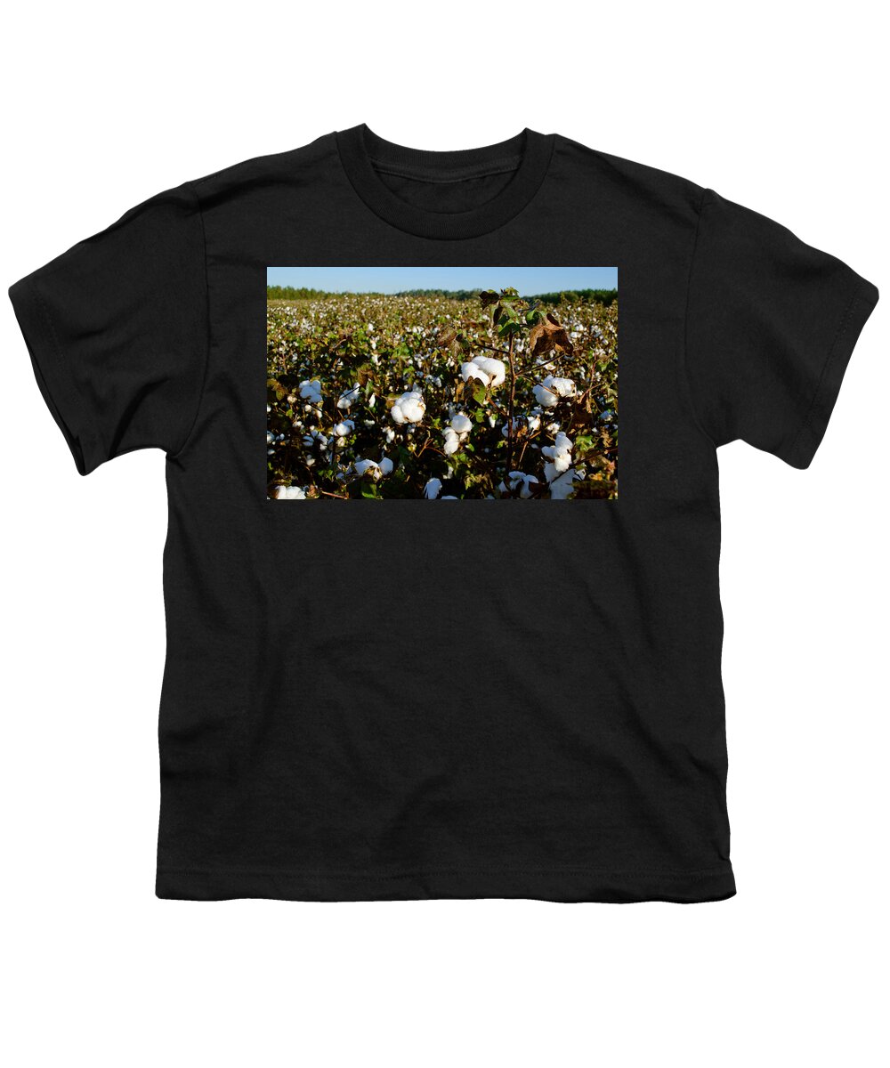 Agricultural Land Youth T-Shirt featuring the photograph Cotton In South Carolina by Kenneth Murray