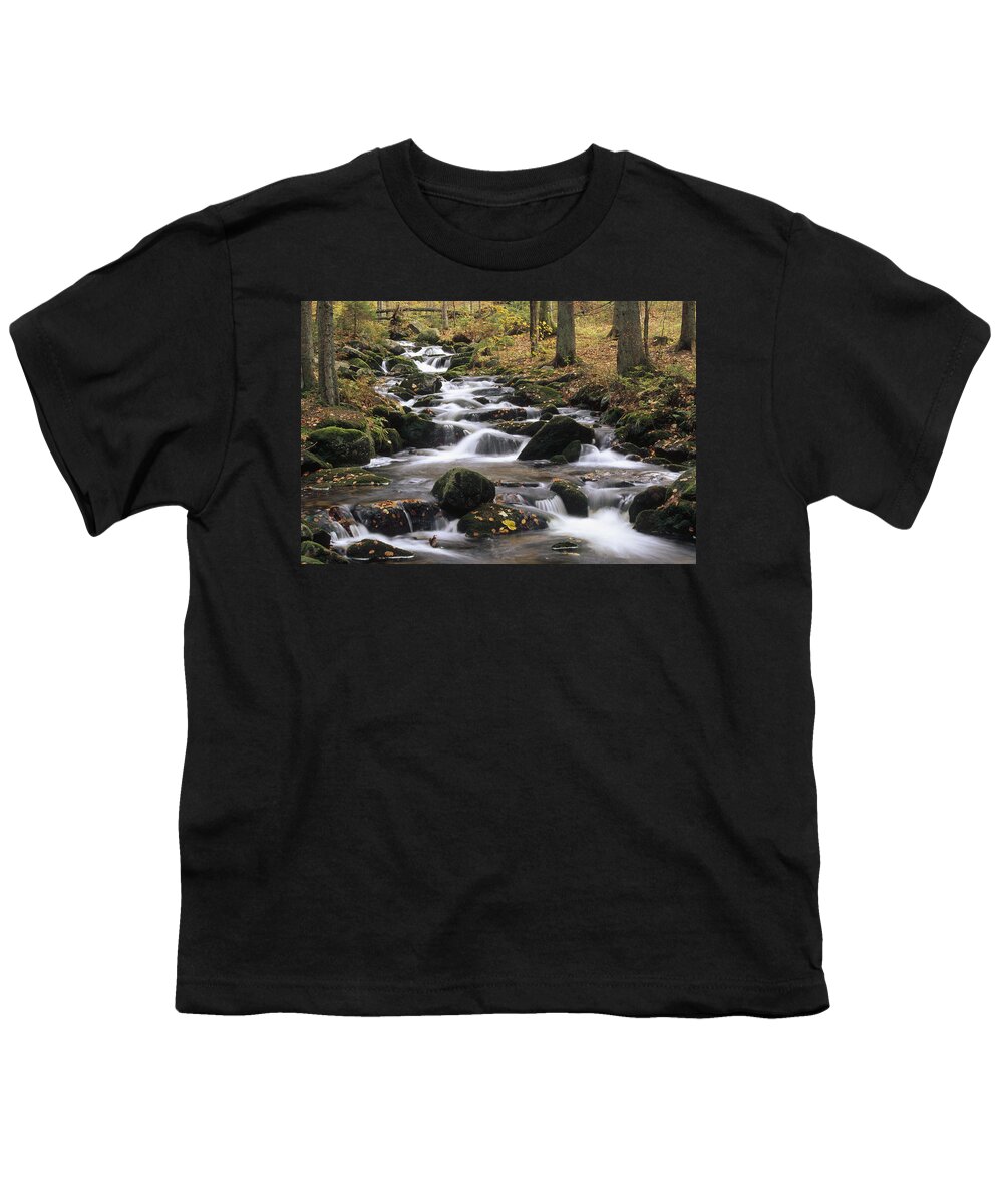 Feb0514 Youth T-Shirt featuring the photograph Creek Cascading And Forest Bayerischer by Konrad Wothe