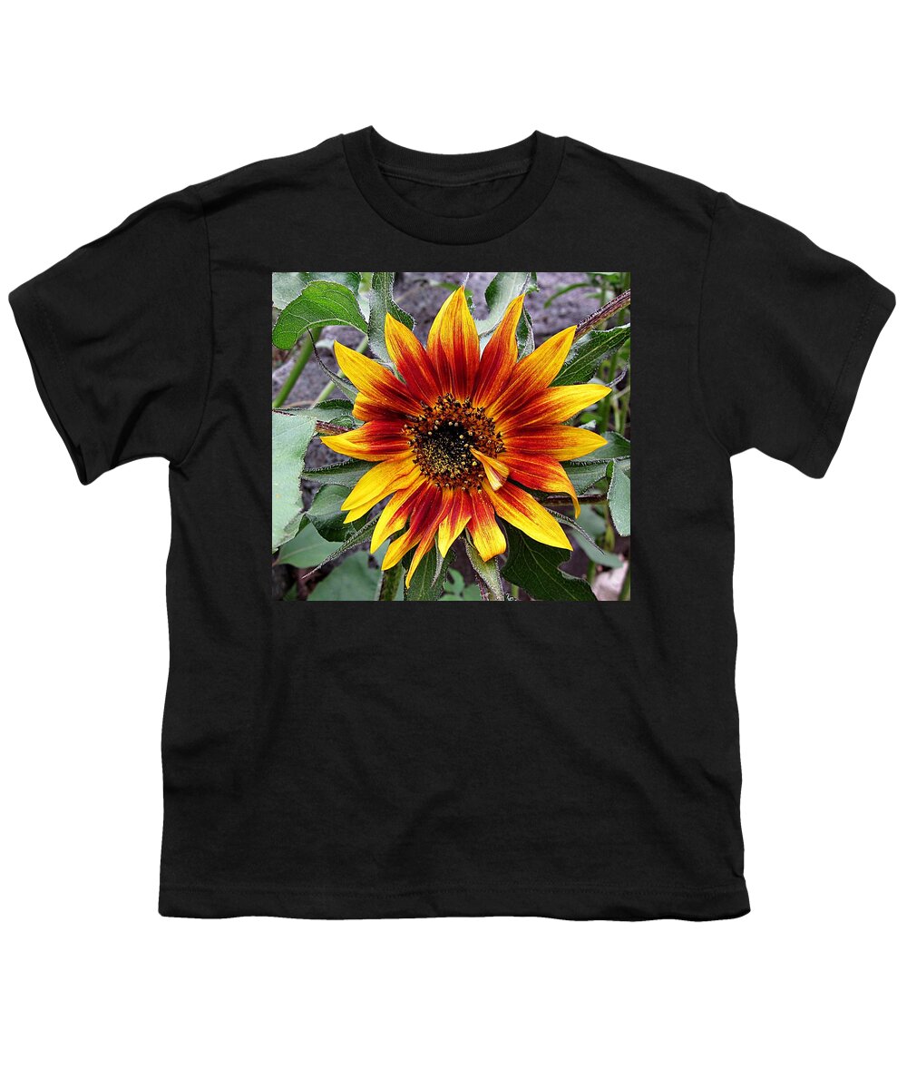 Sunflower Youth T-Shirt featuring the photograph Crying Sunflower by MTBobbins Photography