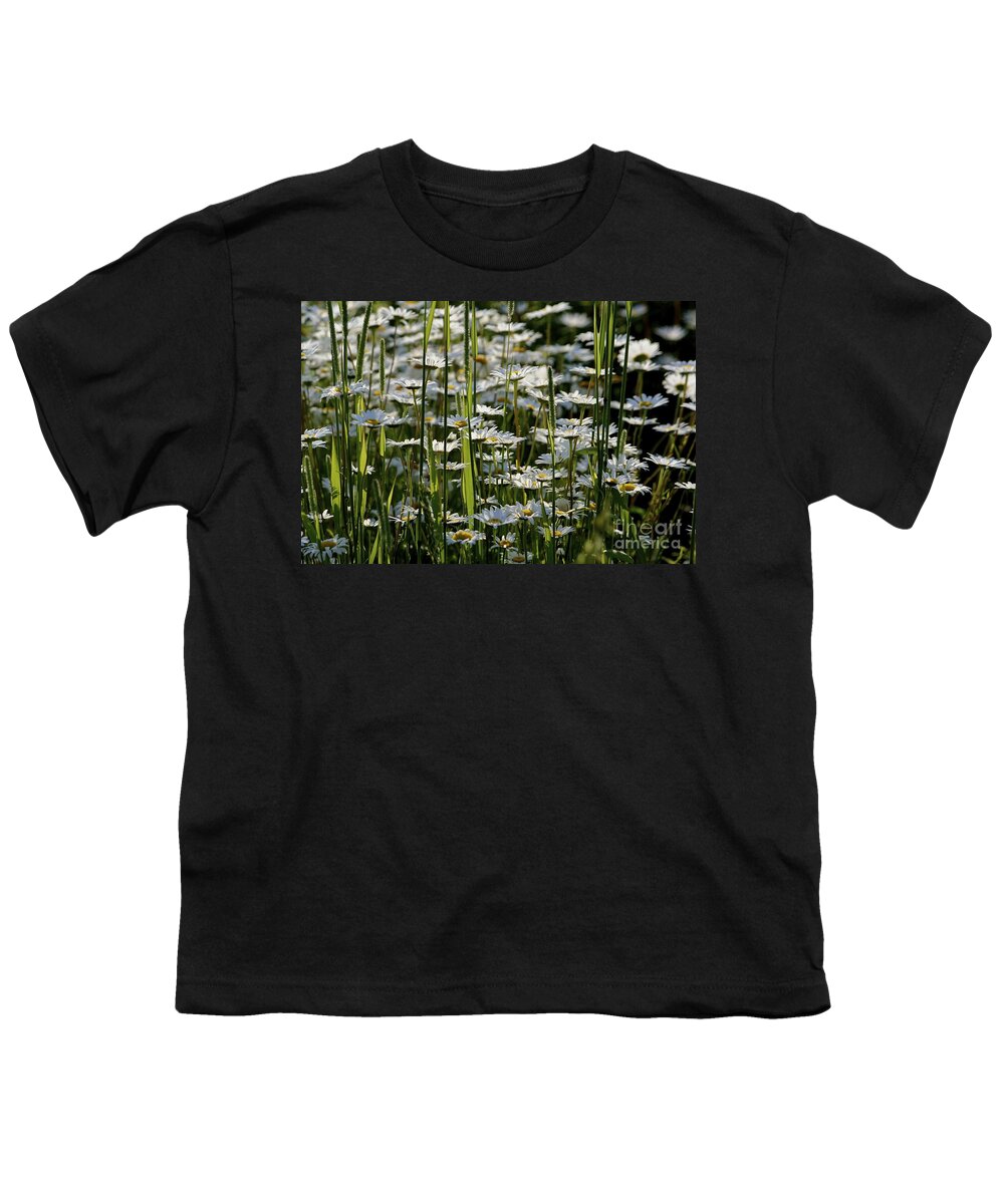 Daisies Youth T-Shirt featuring the photograph Daisies by Jim Gillen