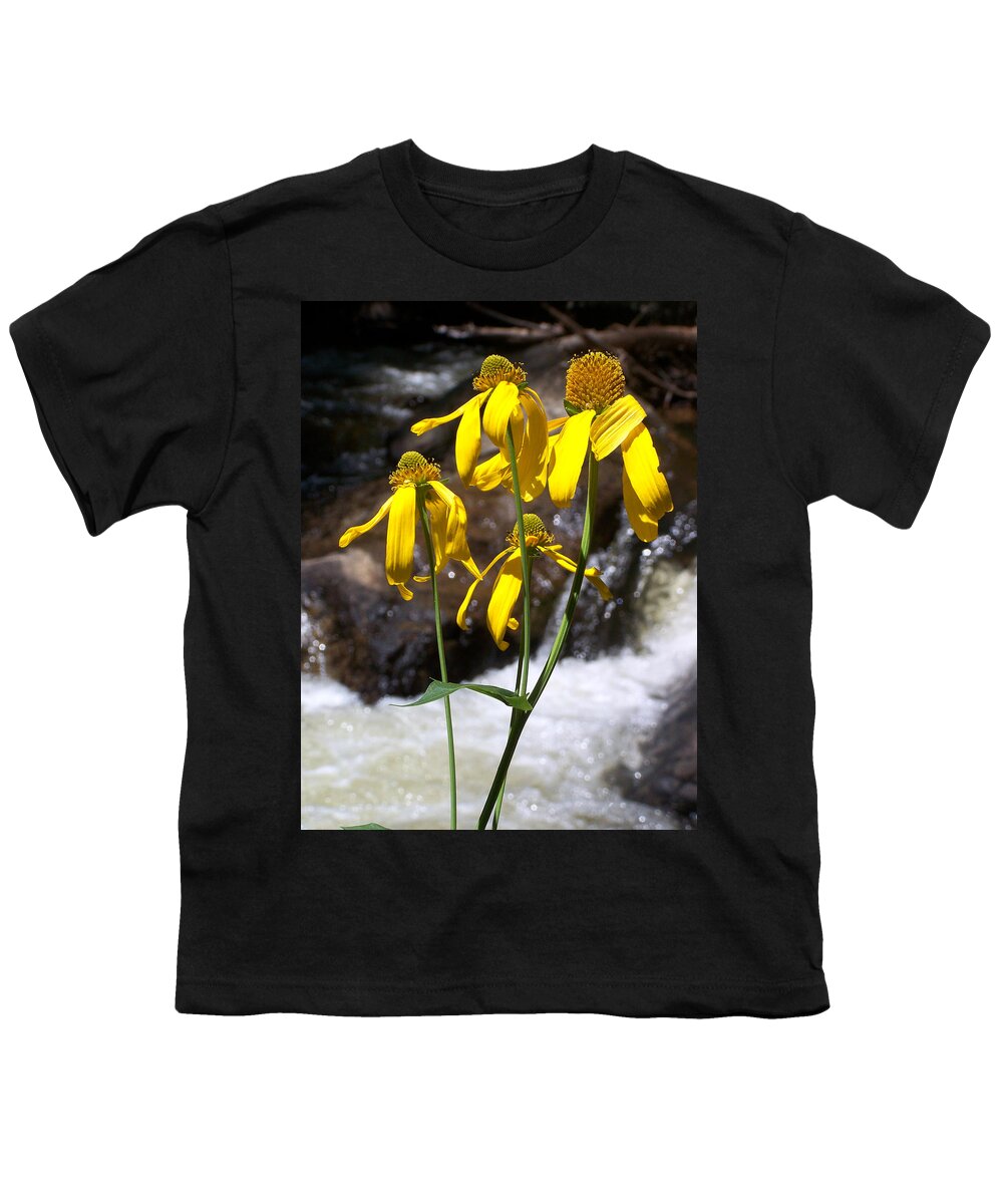 Yellow Youth T-Shirt featuring the photograph Daisies Near the Water by Jennifer Robin