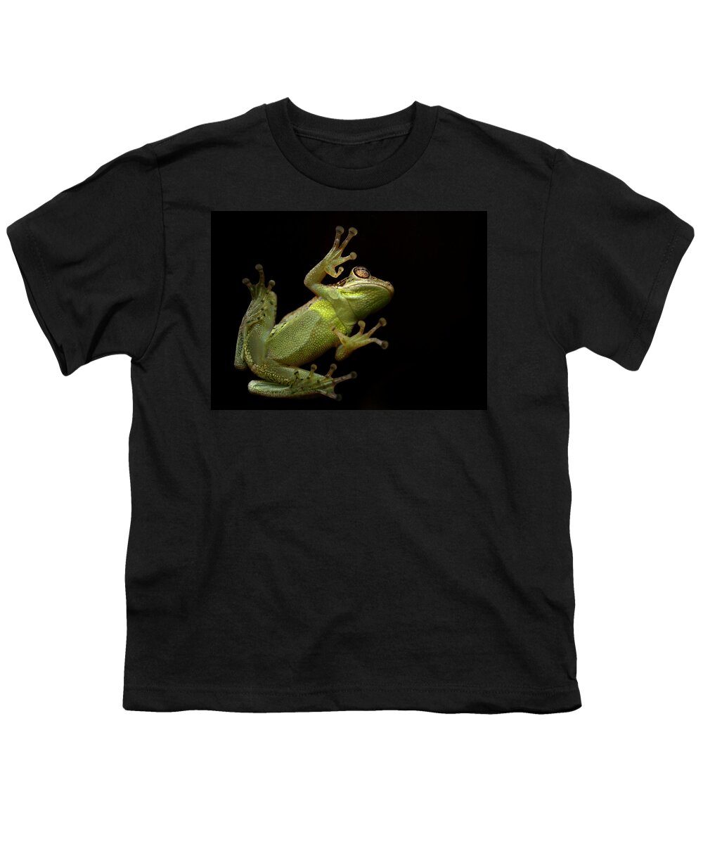 Frog Youth T-Shirt featuring the photograph Date Night by Laura Fasulo
