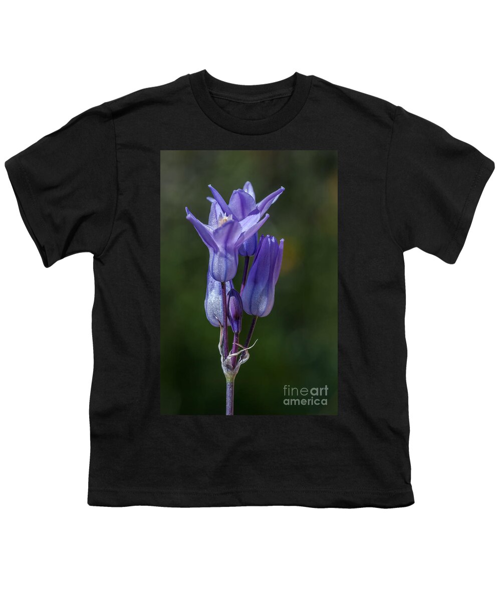 Al Andersen Youth T-Shirt featuring the photograph Desert Hyacinth 2 by Al Andersen