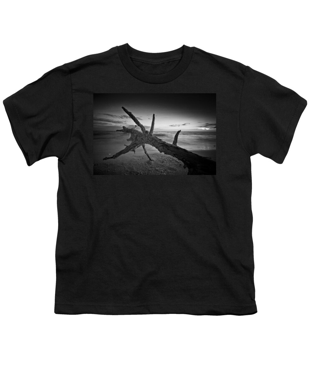 Bonita Beach Youth T-Shirt featuring the photograph Driftwood On Bonita Beach by Bradley R Youngberg