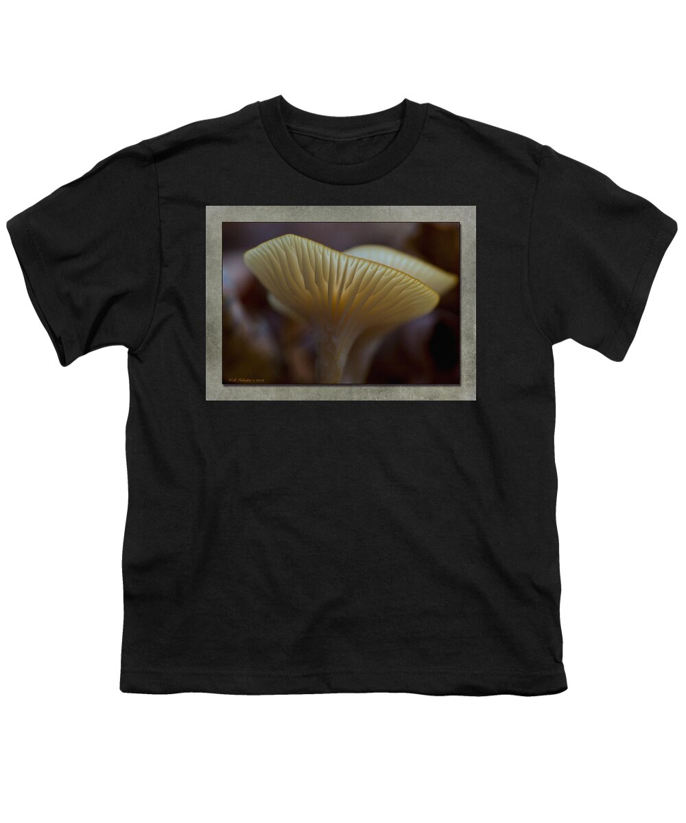 Mushroom Youth T-Shirt featuring the photograph Fall Mushroom 7 by WB Johnston