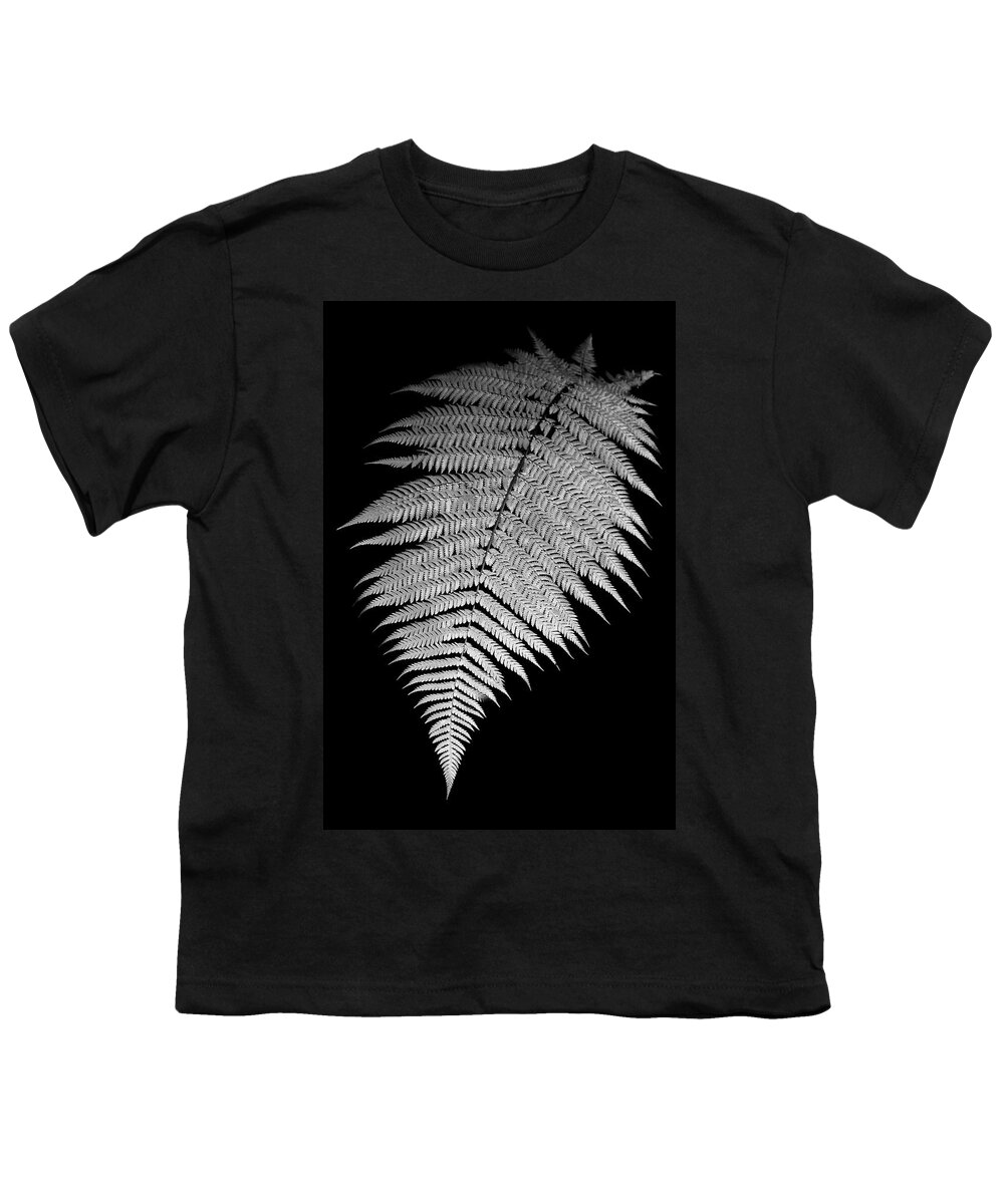 Plant Youth T-Shirt featuring the photograph Fern by Alexey Stiop