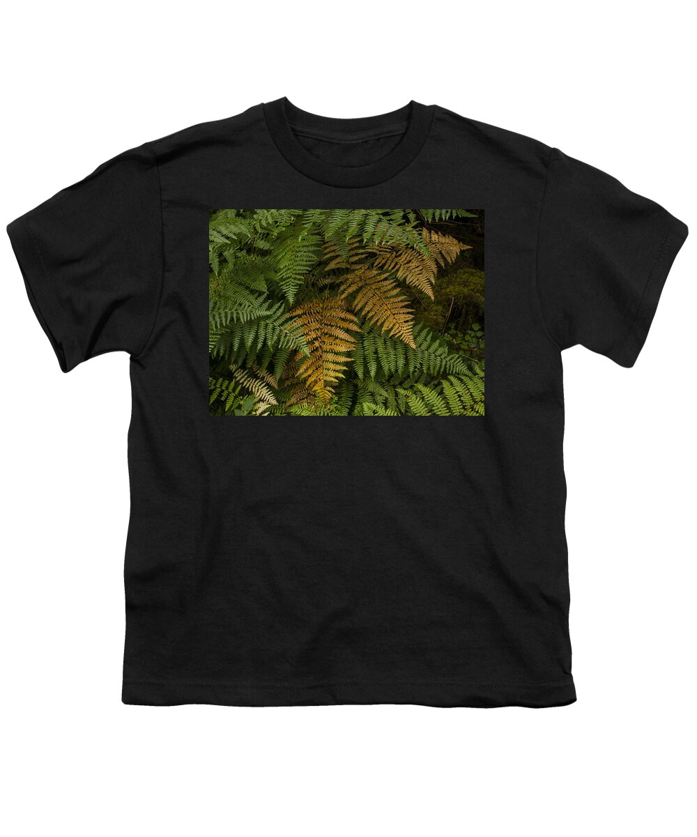 Fern Youth T-Shirt featuring the photograph Fern Design by Jean Noren