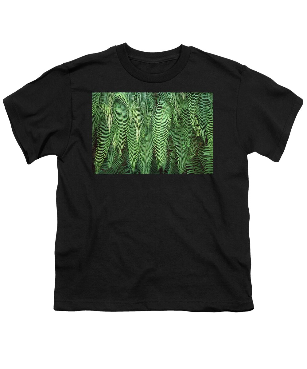 Feb0514 Youth T-Shirt featuring the photograph Ferns Hanging Over Trail Nepal by Colin Monteath