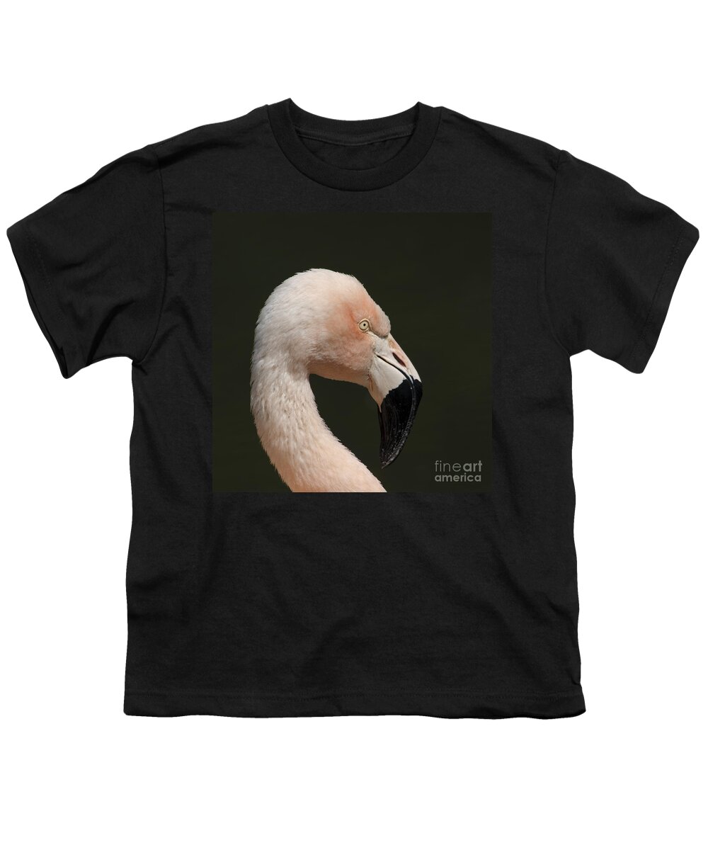Flamingo Youth T-Shirt featuring the photograph Flamingo by Steev Stamford
