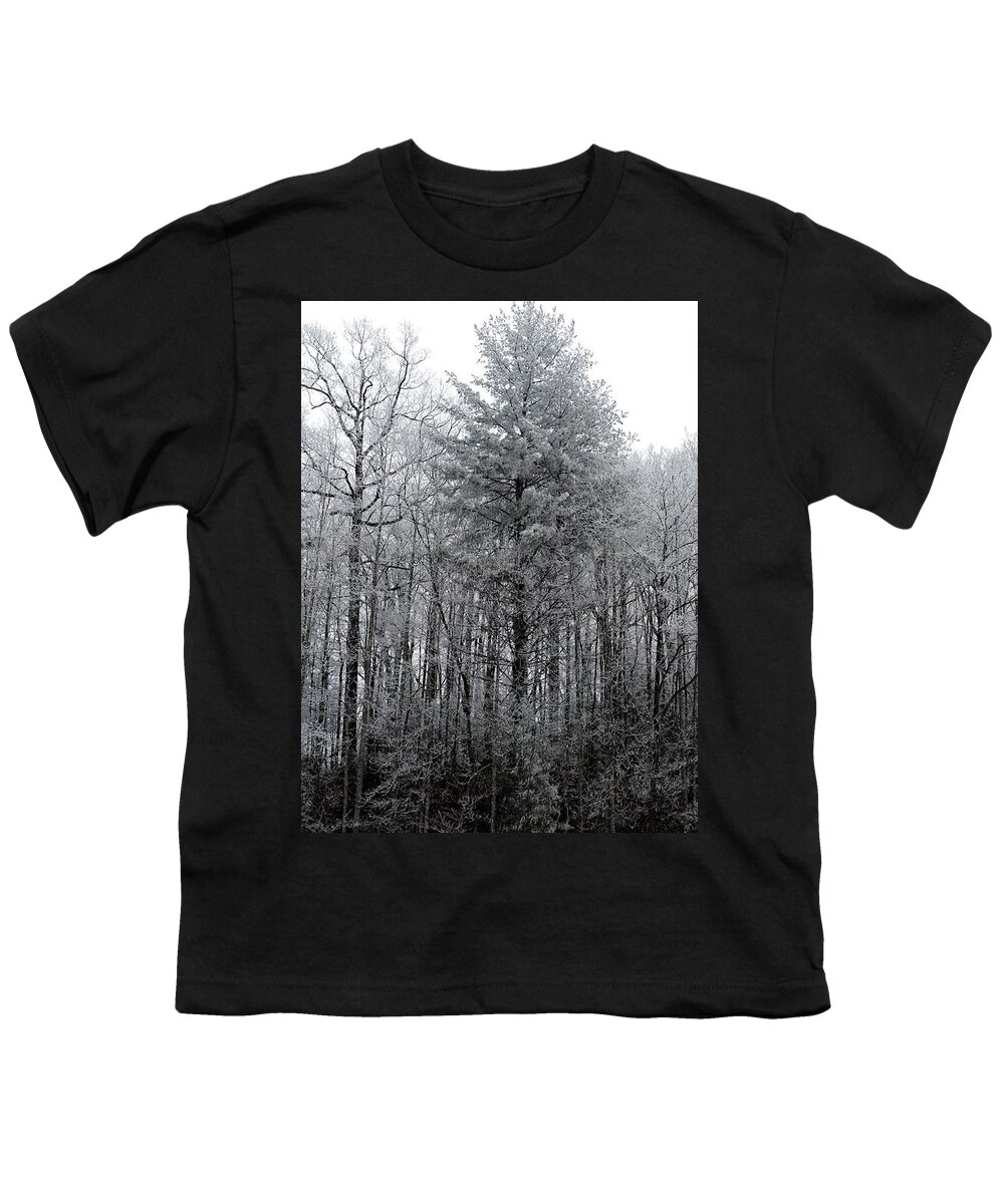 Landscape Youth T-Shirt featuring the photograph Forest With Freezing Fog by Daniel Reed