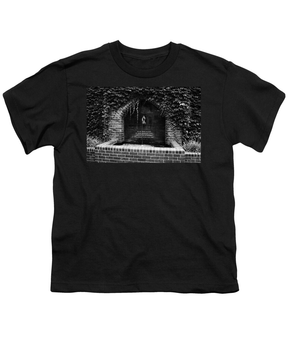 Fountain Youth T-Shirt featuring the photograph Fountain of Love by Douglas Barnard