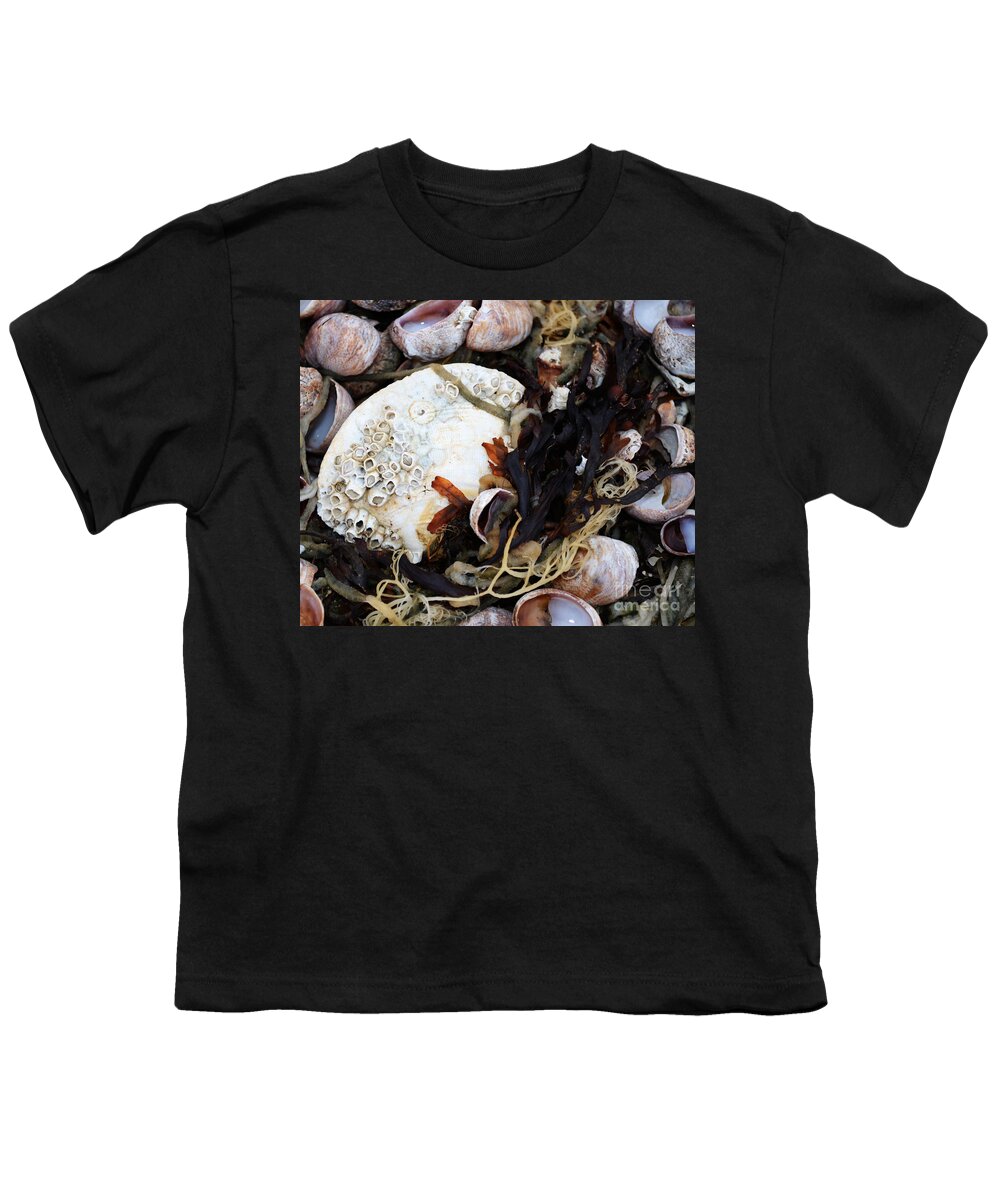 Seashell Youth T-Shirt featuring the photograph From the Ocean by Andrea Anderegg