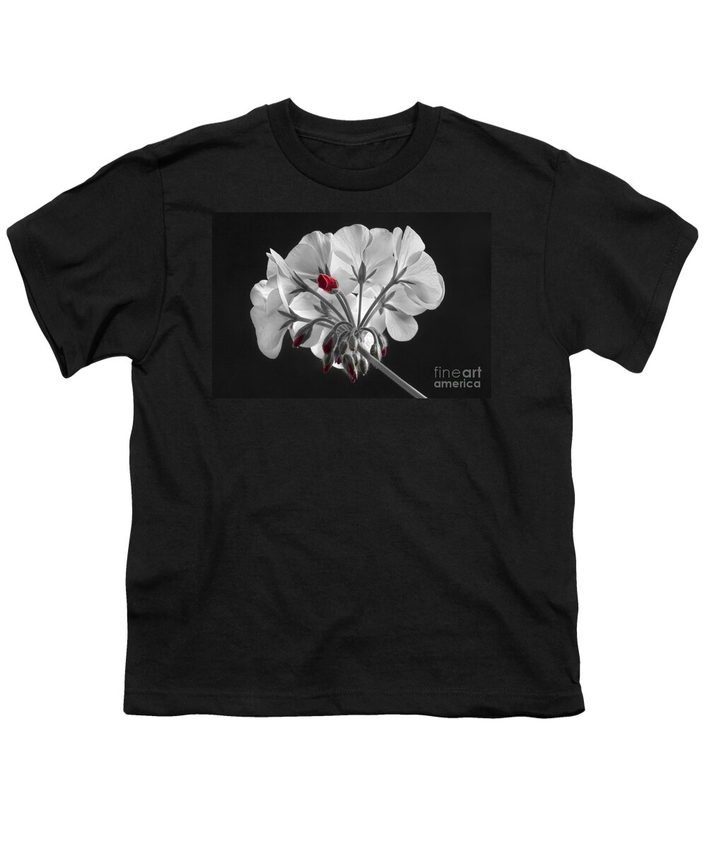 'red Geranium' Youth T-Shirt featuring the photograph Geranium Flower In Progress by James BO Insogna