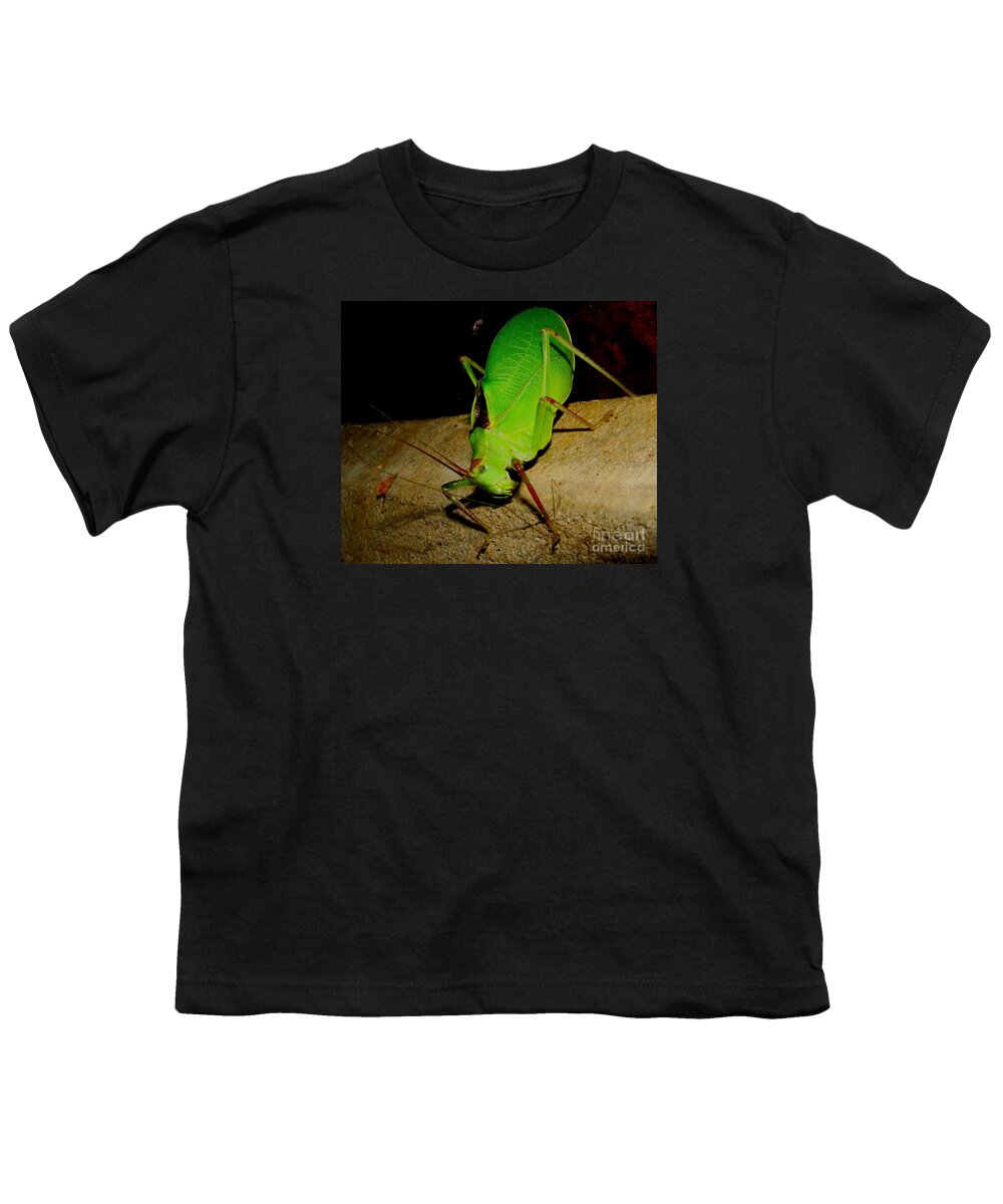 Giant Katydid Leaf Bug Leaf Camouflage Natural Camouflage Rare Insects Nocturnal Nature Photography Nocturnal Creatures Of The Night Nocturnal Insects Giant Bugs Forest Creatures Woodland Creatures North American Insects Youth T-Shirt featuring the photograph Giant Katydid by Joshua Bales