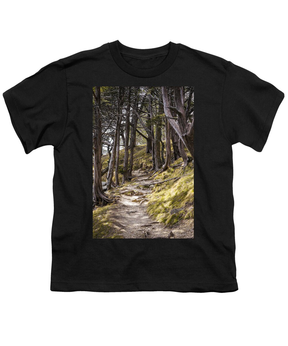 Tree Youth T-Shirt featuring the photograph Gibraltar Rock trail wisconsin by Steven Ralser