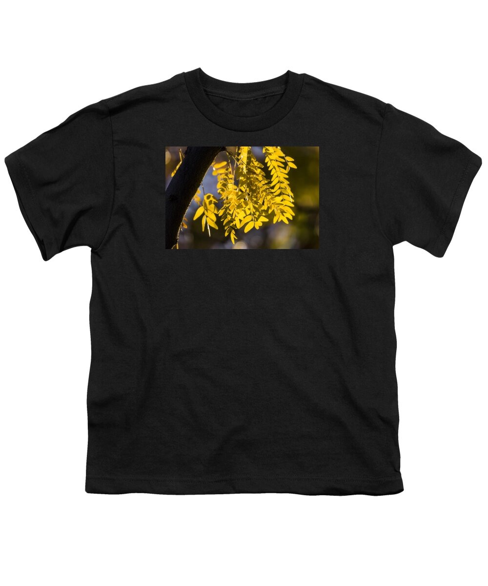 Golden Rain Youth T-Shirt featuring the photograph Golden Rain by Chad Dutson