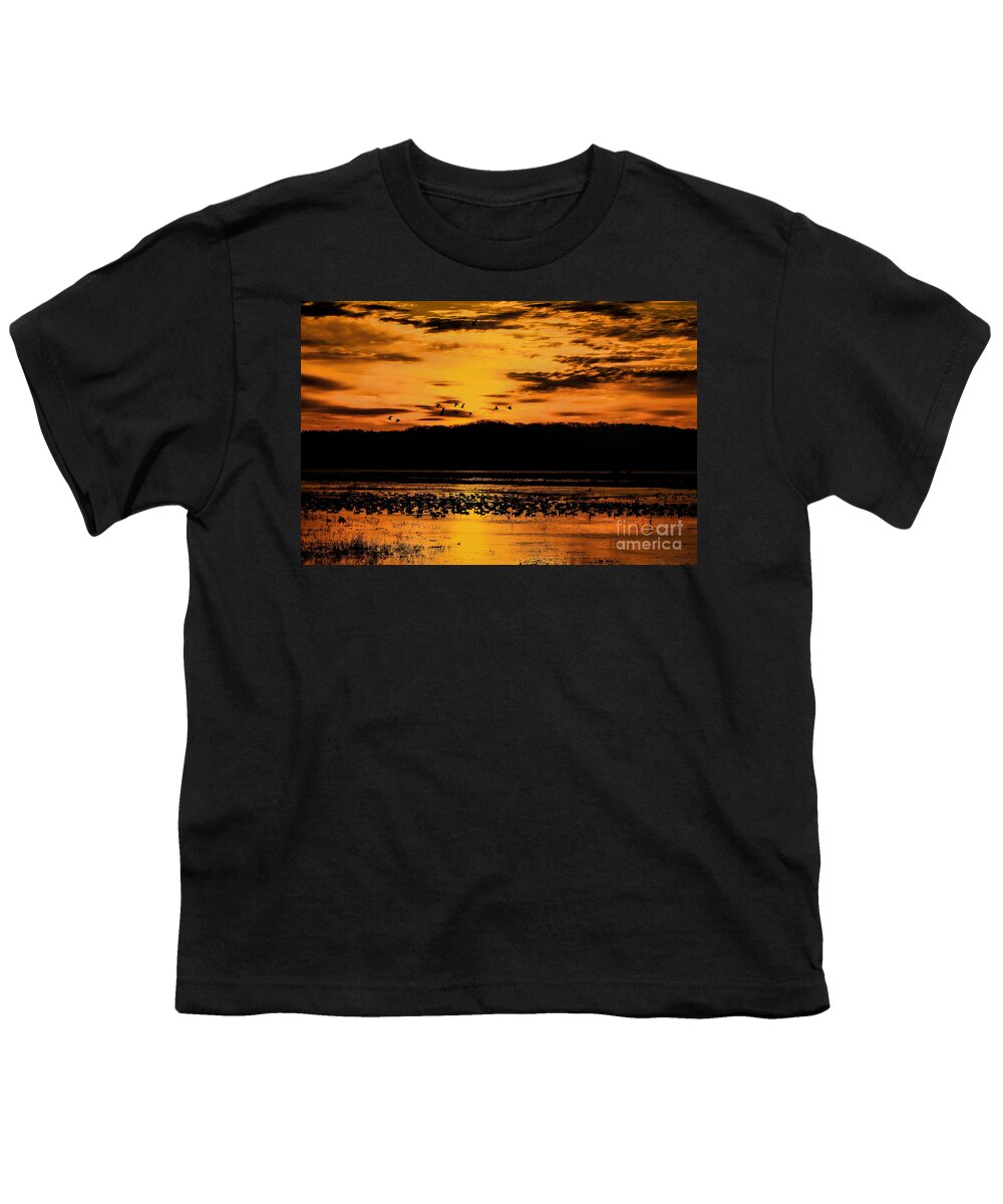 Snow Geese Youth T-Shirt featuring the photograph Golden Silhouettes by Elizabeth Winter