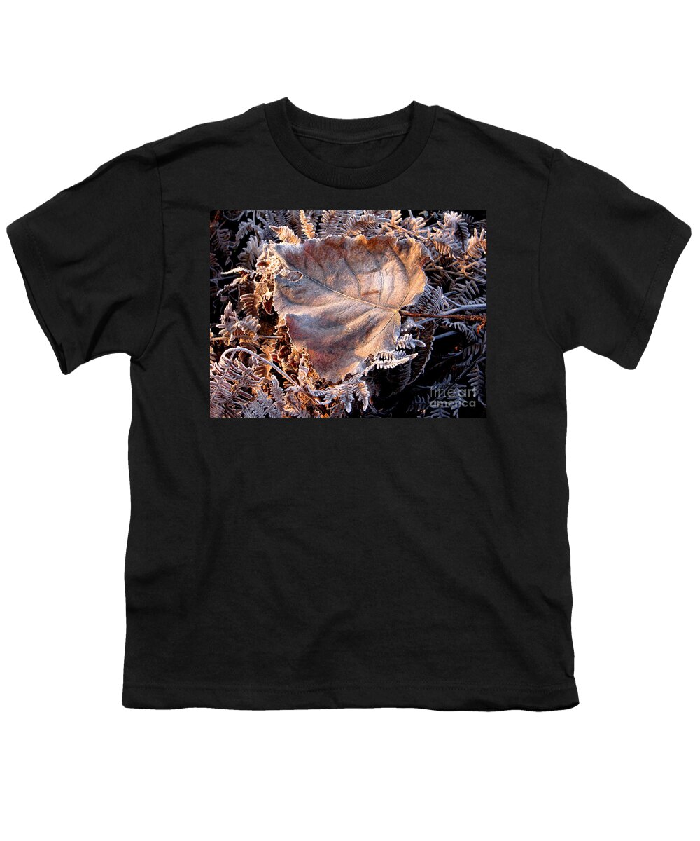 Fall Youth T-Shirt featuring the photograph Graced By Frost by Rory Siegel