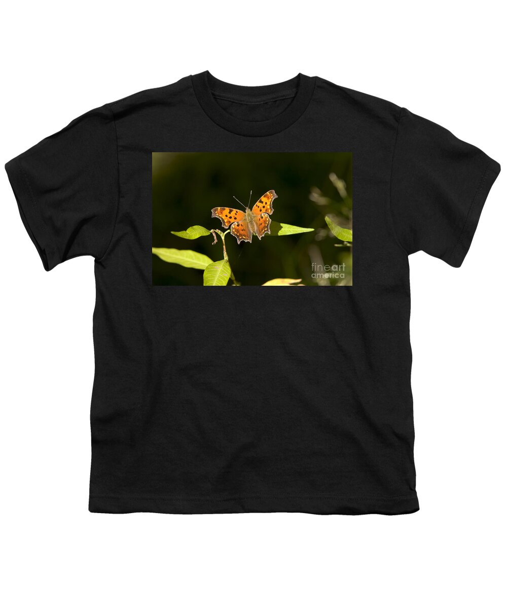 Fauna Youth T-Shirt featuring the photograph Gray Comma Butterfly by Gregory K Scott