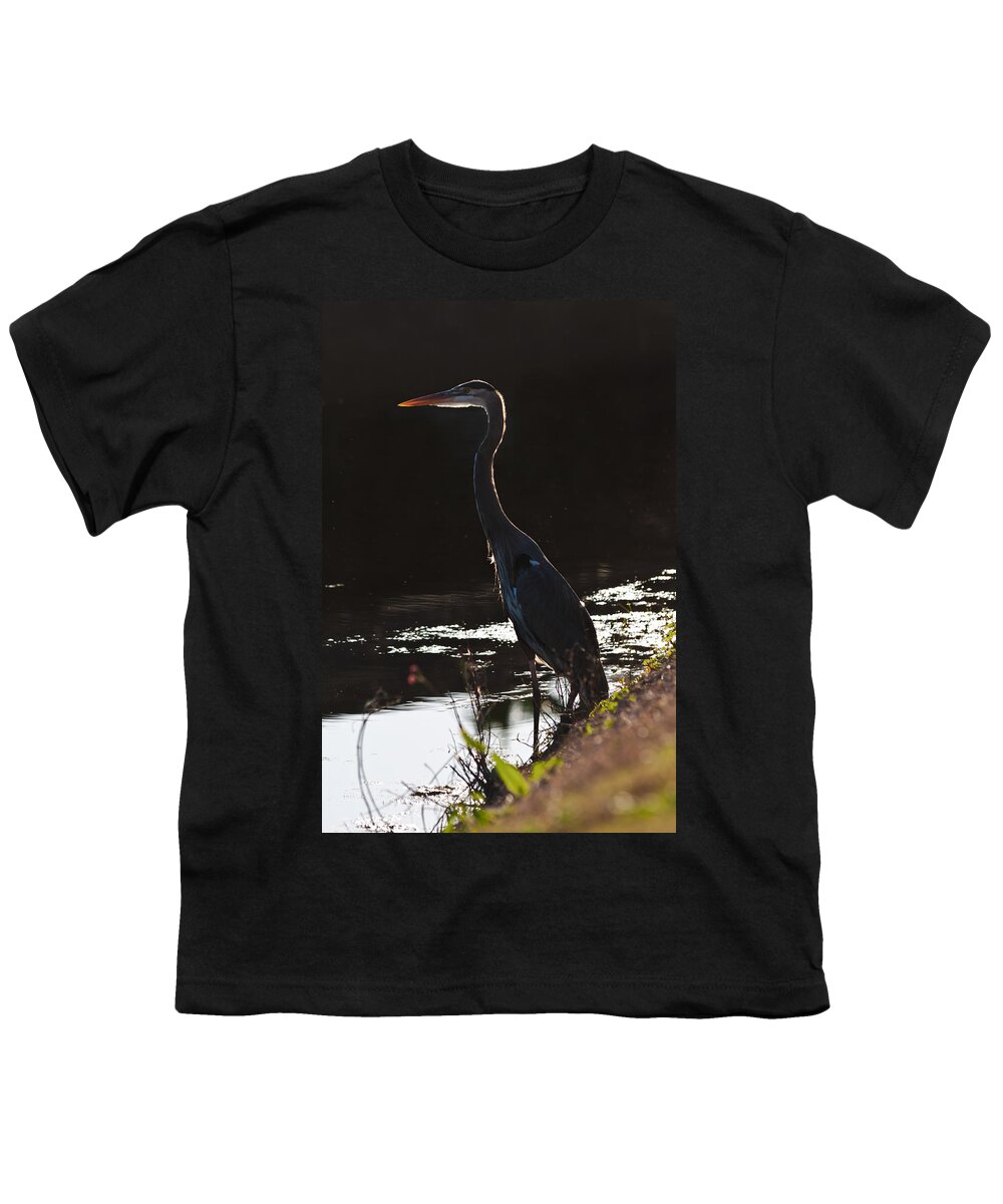 Ardea Herodias Youth T-Shirt featuring the photograph Great Blue Heron by Ed Gleichman