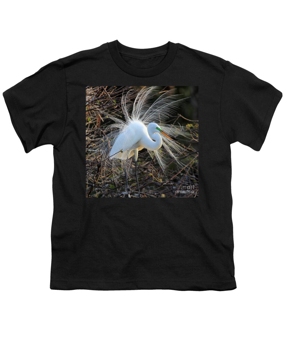 Great Egret Youth T-Shirt featuring the photograph Great Egret Show Off by Larry Nieland