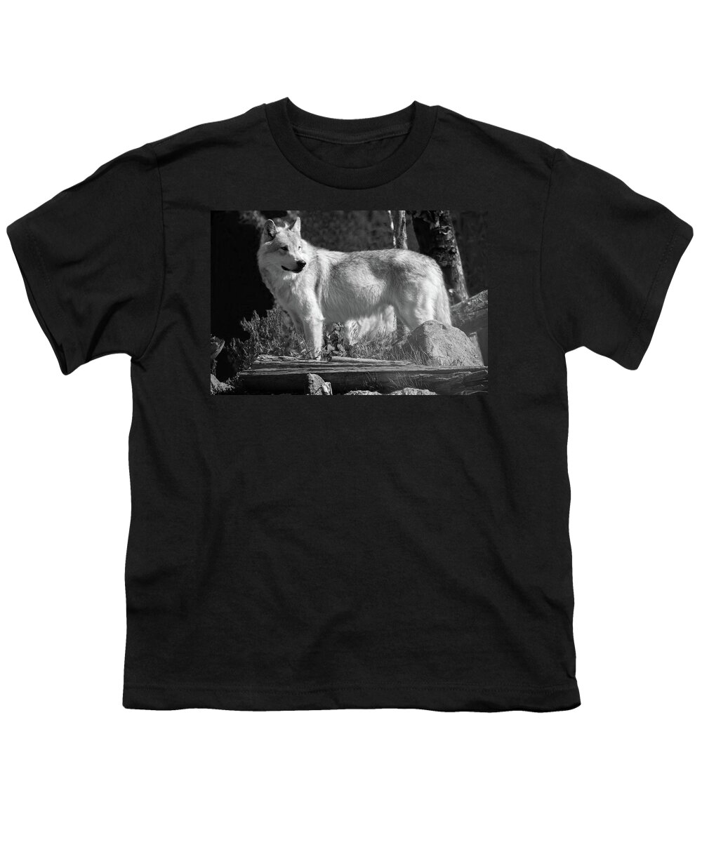 Wolf Youth T-Shirt featuring the photograph North American Wolf by Aidan Moran
