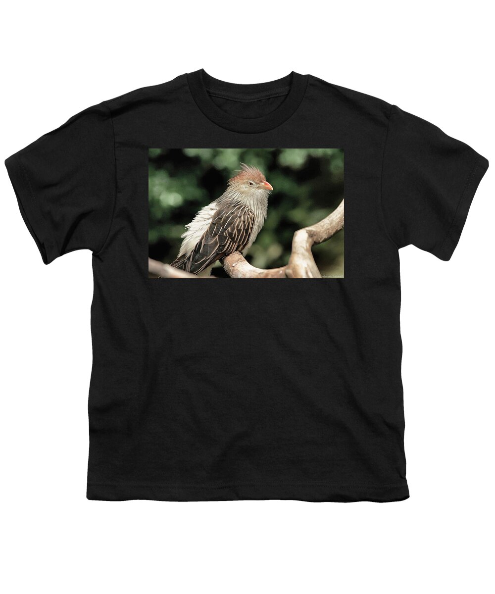 Tropical Birds Youth T-Shirt featuring the photograph Guira cuckoo by Dennis Baswell