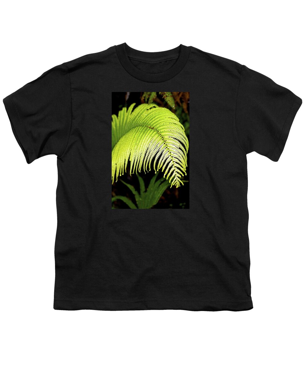 Hawaii Plants Youth T-Shirt featuring the photograph Hapu'u Fern Frond by Lehua Pekelo-Stearns