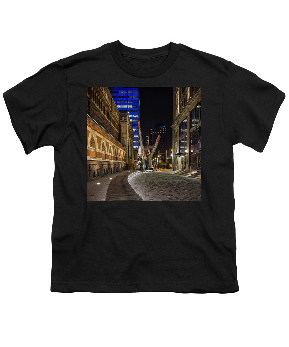 Plane Youth T-Shirt featuring the photograph Hard landing by Rob Dietrich