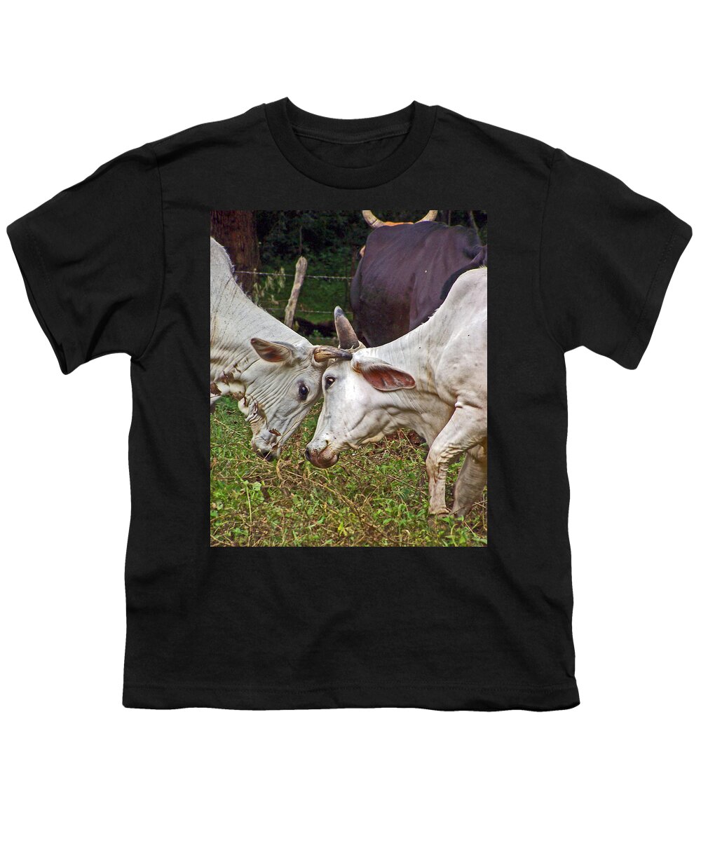 Cows Youth T-Shirt featuring the photograph Head strong by Jennifer Robin