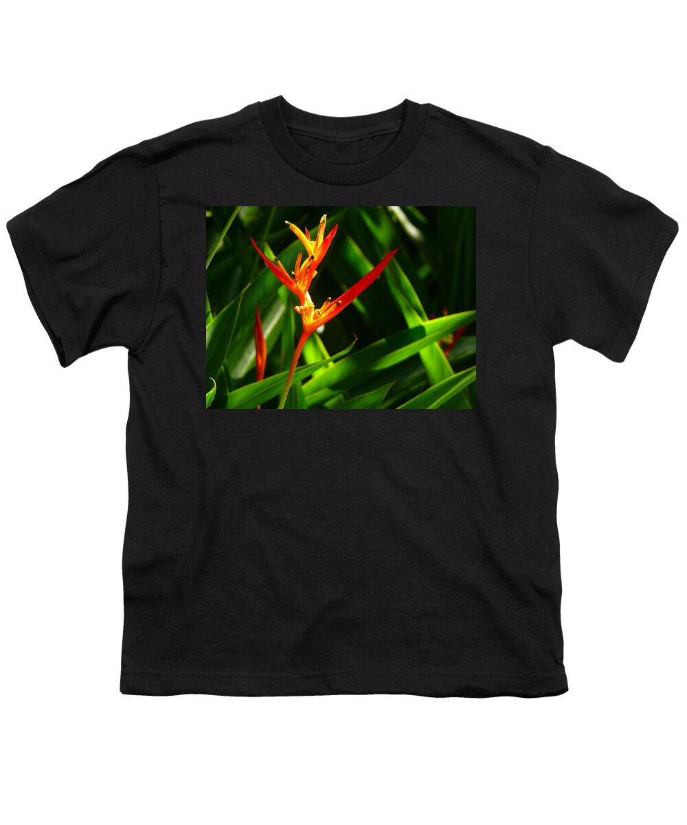 Plant Youth T-Shirt featuring the photograph Heliconia by Evelyn Tambour
