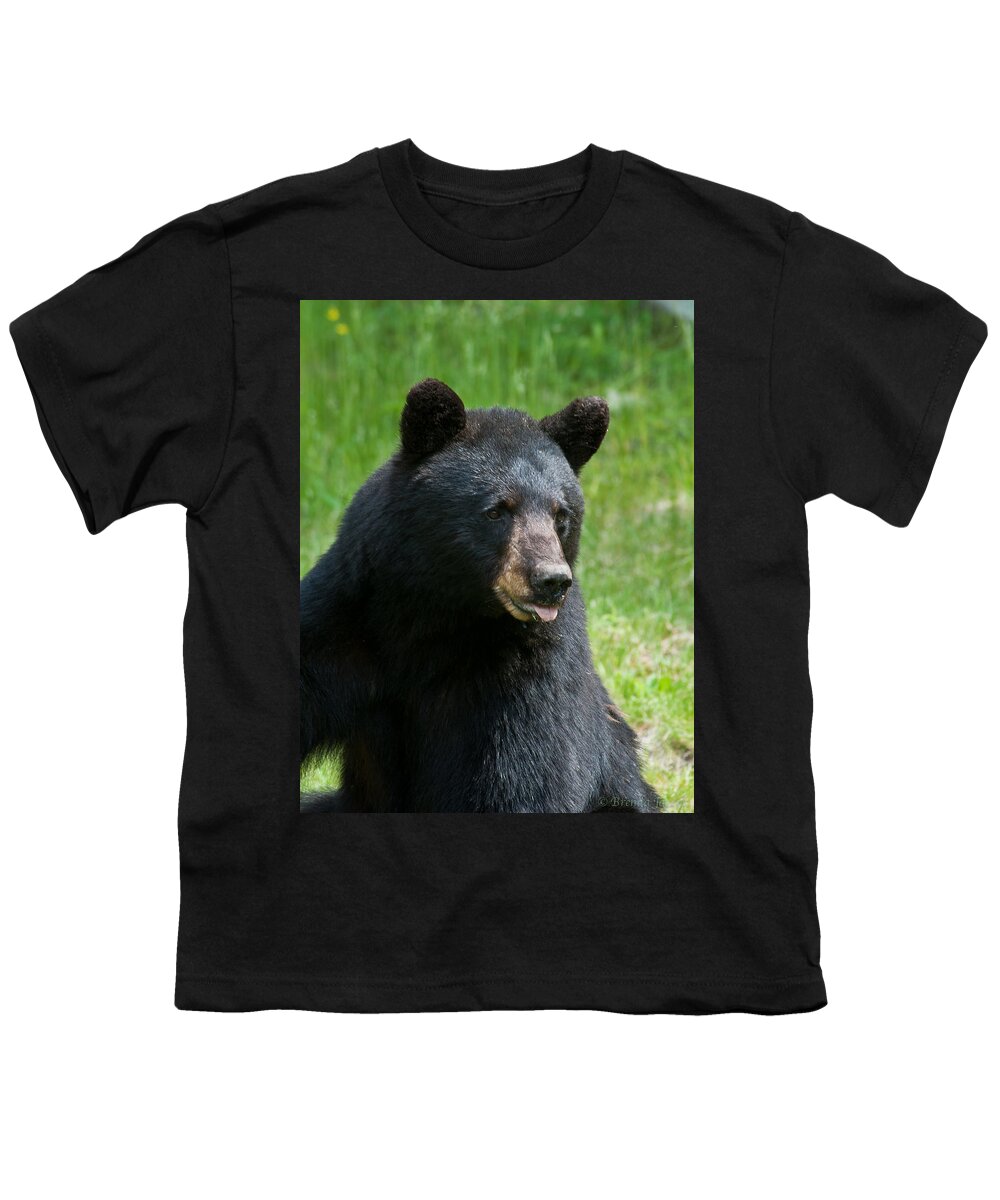 Bears Youth T-Shirt featuring the photograph Hot Day in Bear Country by Brenda Jacobs