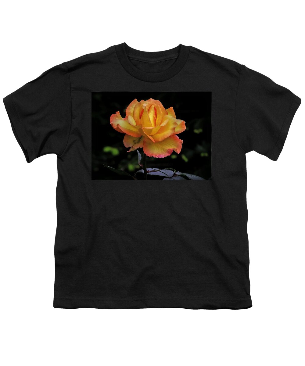 Rose Youth T-Shirt featuring the photograph I know I'm beautiful by Hanny Heim