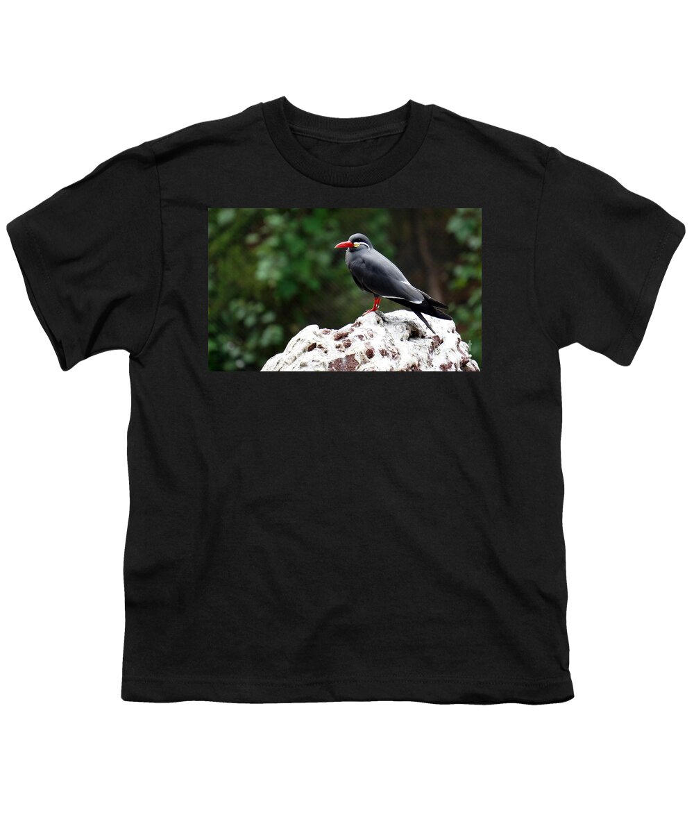 Inca Tern Youth T-Shirt featuring the photograph Inca Tern by Lilliana Mendez