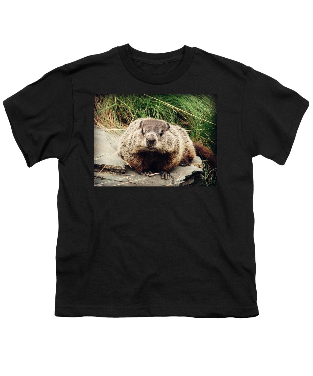 Groundhog Youth T-Shirt featuring the photograph It Wasn't Me by Zinvolle Art