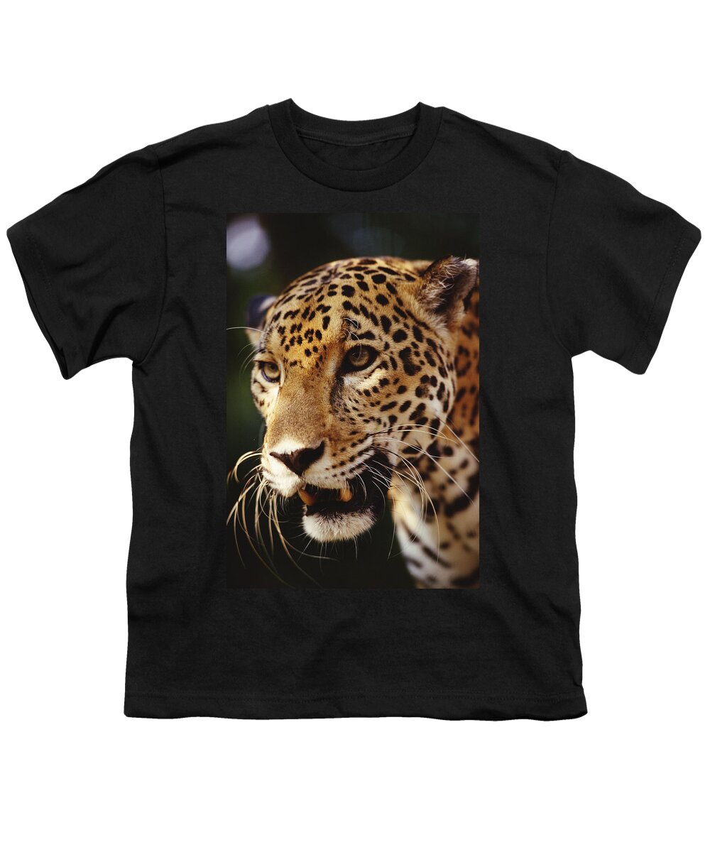 Feb0514 Youth T-Shirt featuring the photograph Jaguar Portrait by Gerry Ellis