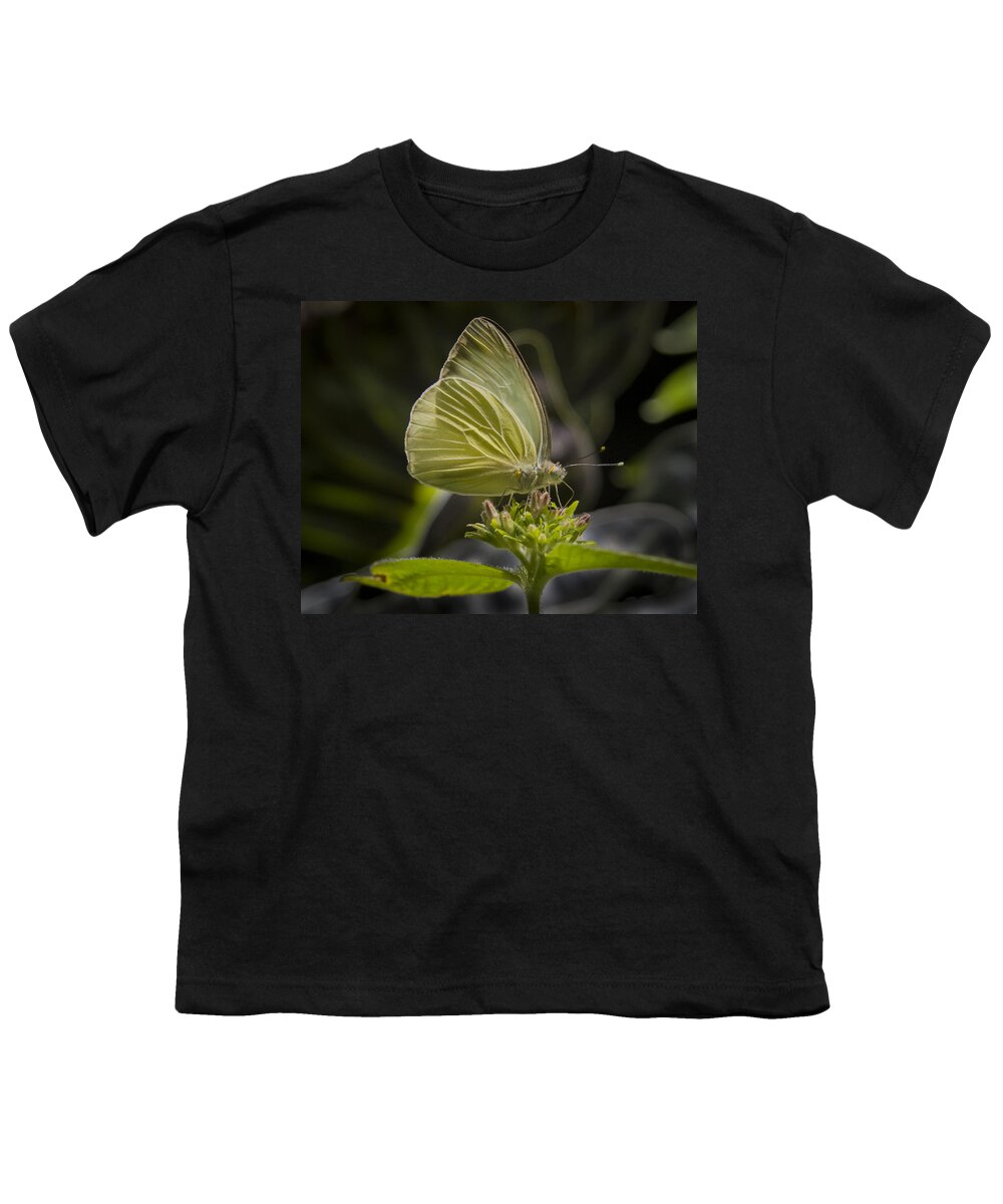 : Animals Youth T-Shirt featuring the photograph Just a taste by Jean Noren