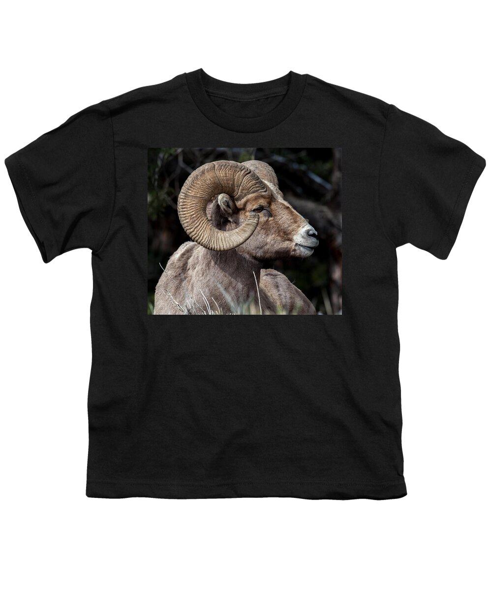 Big Horn Sheep Youth T-Shirt featuring the photograph Kings Pose by Kevin Dietrich