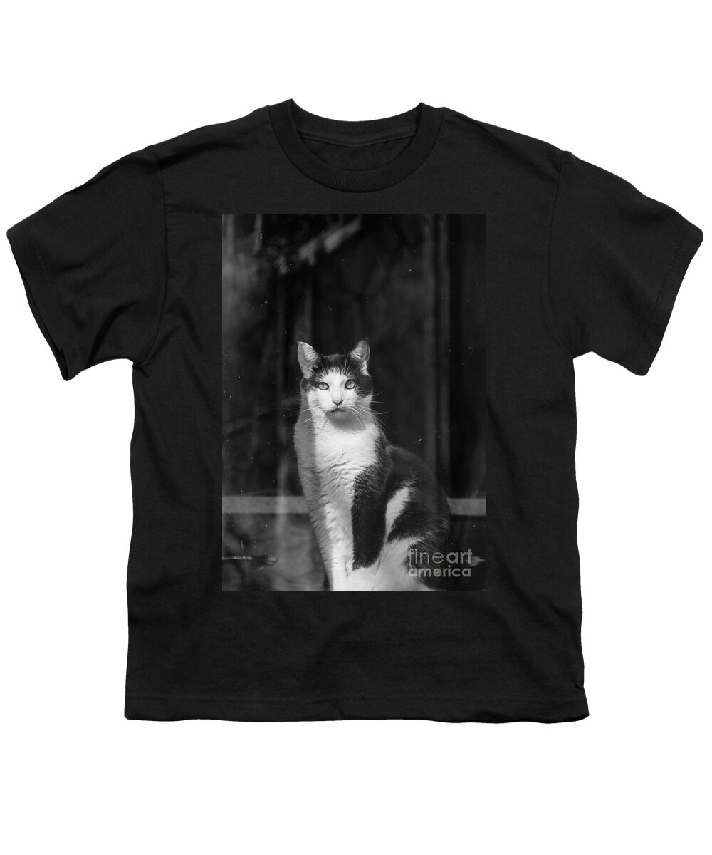 Cheryl Baxter Photography Youth T-Shirt featuring the photograph Kitty in the Window by Cheryl Baxter