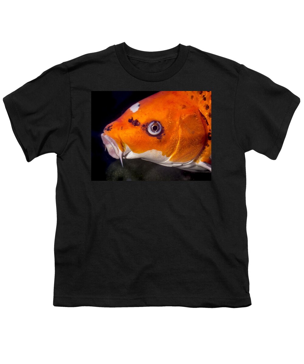 Koi Youth T-Shirt featuring the photograph Koi Soliciting a Kiss by Jean Noren
