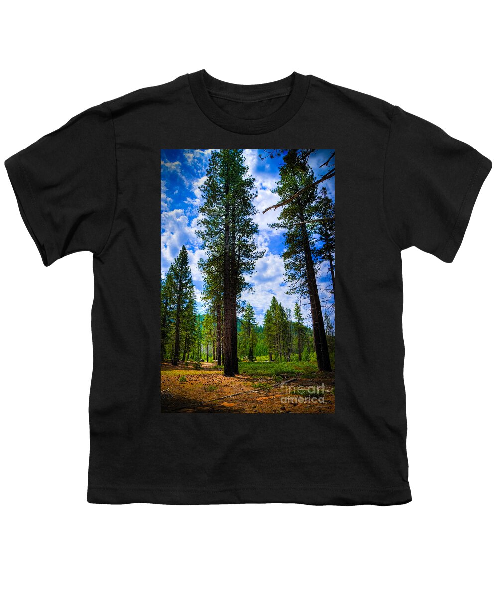 Lake Tahoe Trees Youth T-Shirt featuring the photograph Lake Tahoe Trees by Kelly Wade