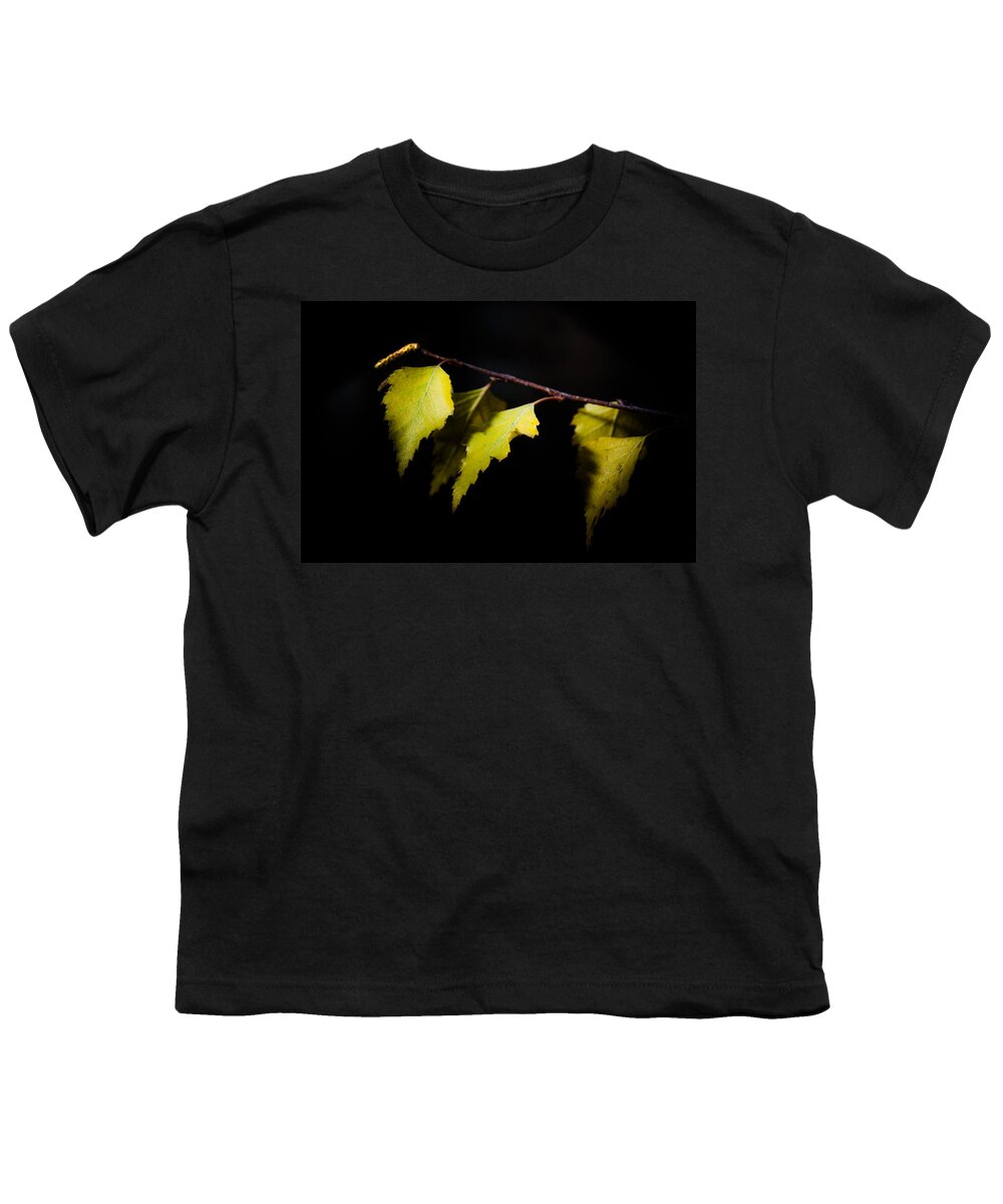 Autumn Youth T-Shirt featuring the photograph Last autumn gifts by Michael Goyberg