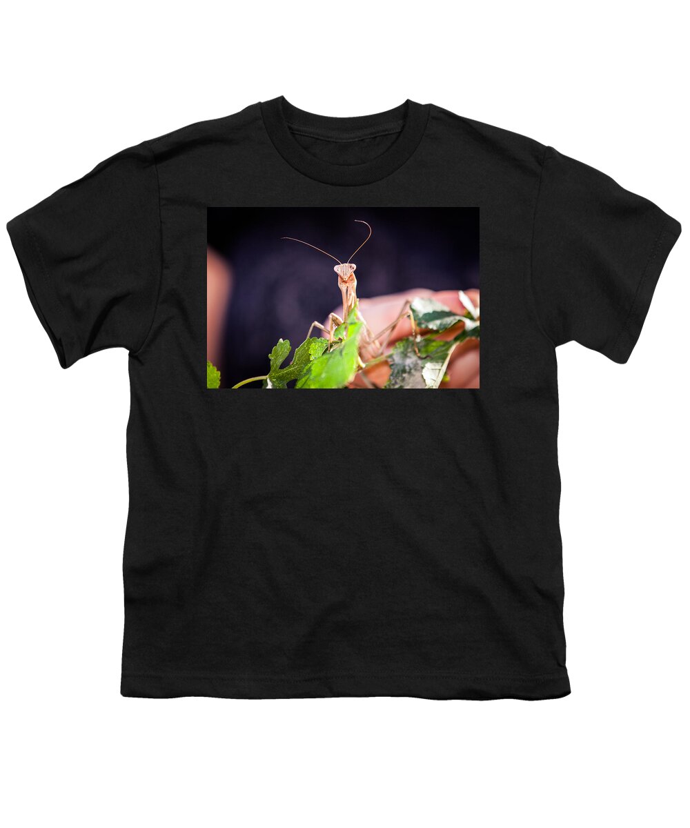Praying Mantis Youth T-Shirt featuring the photograph Let Us Pray by Sennie Pierson