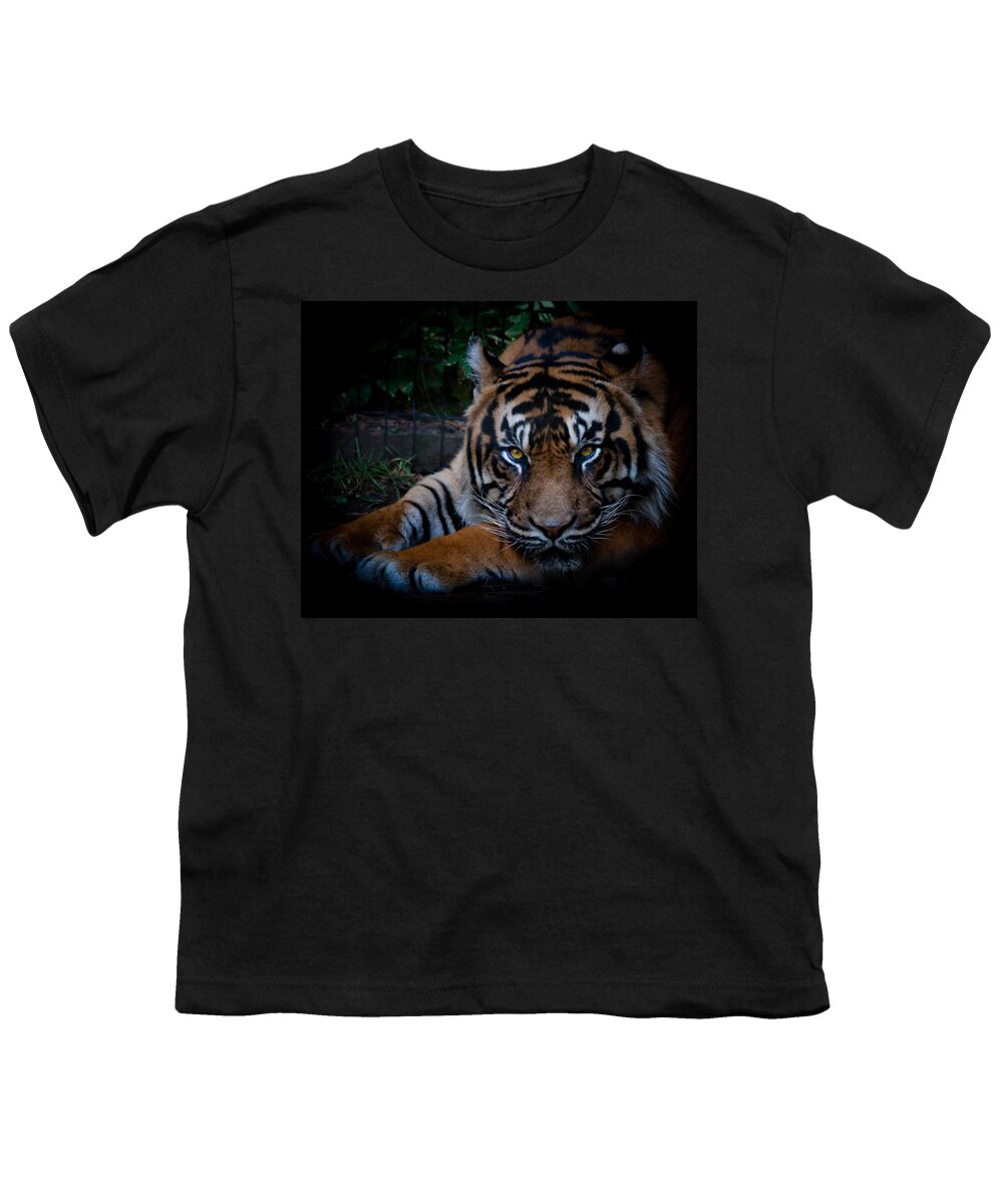 Tiger Youth T-Shirt featuring the photograph Like My Eyes? by Robert L Jackson