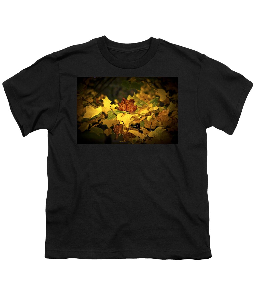 Autumn Youth T-Shirt featuring the photograph Little Autumn Colours by Maj Seda